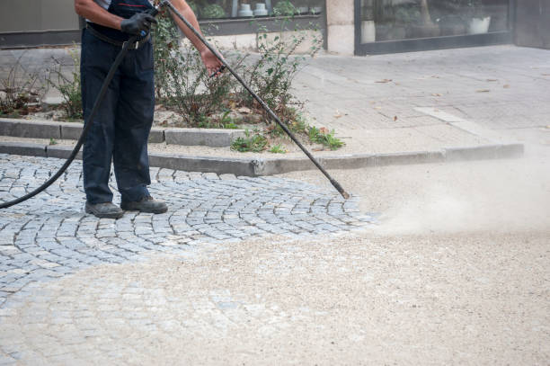 Best Spring Cleaning  in Wolfe City, TX