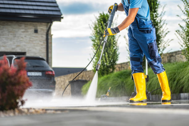Best Soft Washing  in Wolfe City, TX